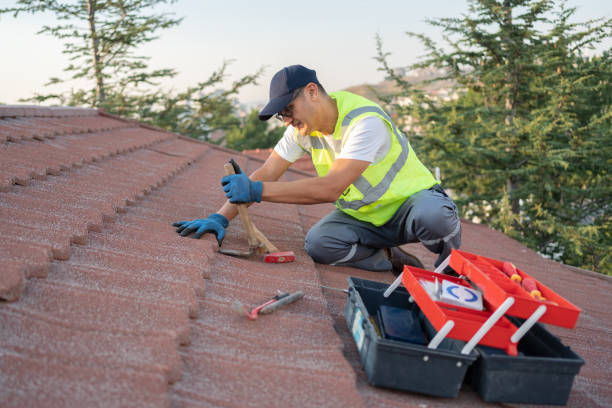 Best Storm Damage Roof Repair  in Pamplico, SC